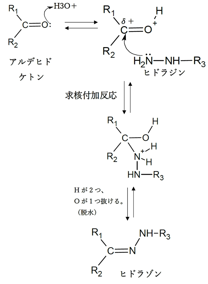 アルデヒド,ケトンと求核試薬の反応 求核付加反応のまとめ 薬学